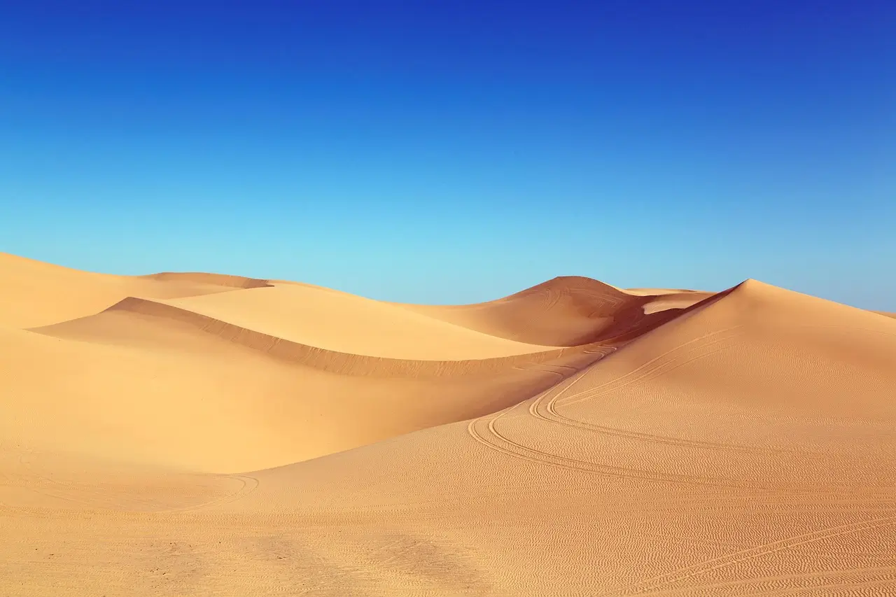 Sahara Welcome