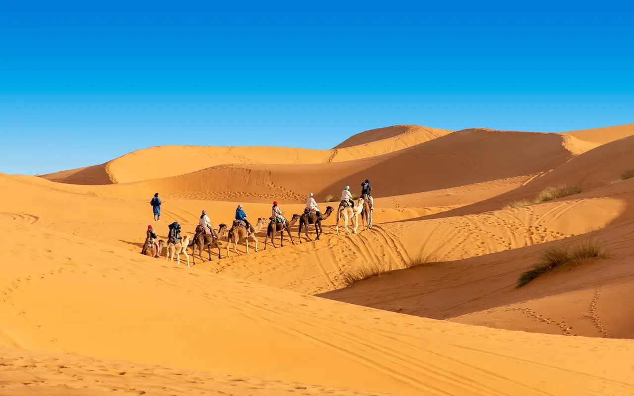 Sahara Welcome
