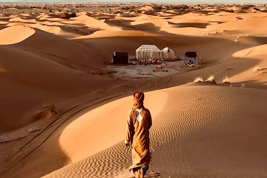Morocco tour camel caravan in Merzouga Sahara desert