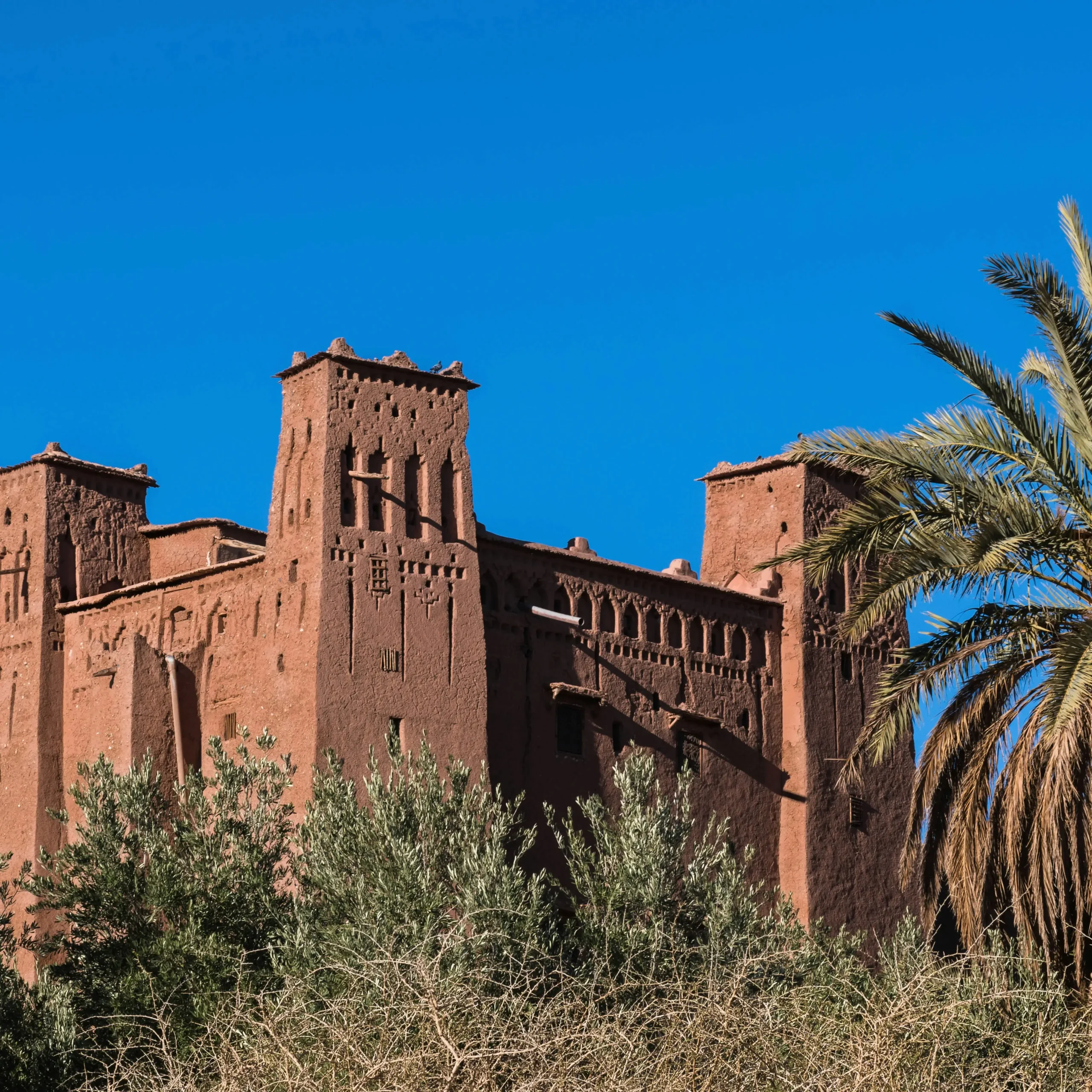 🏜️ Day 3: Into the Sahara – Marrakech to Tinghir