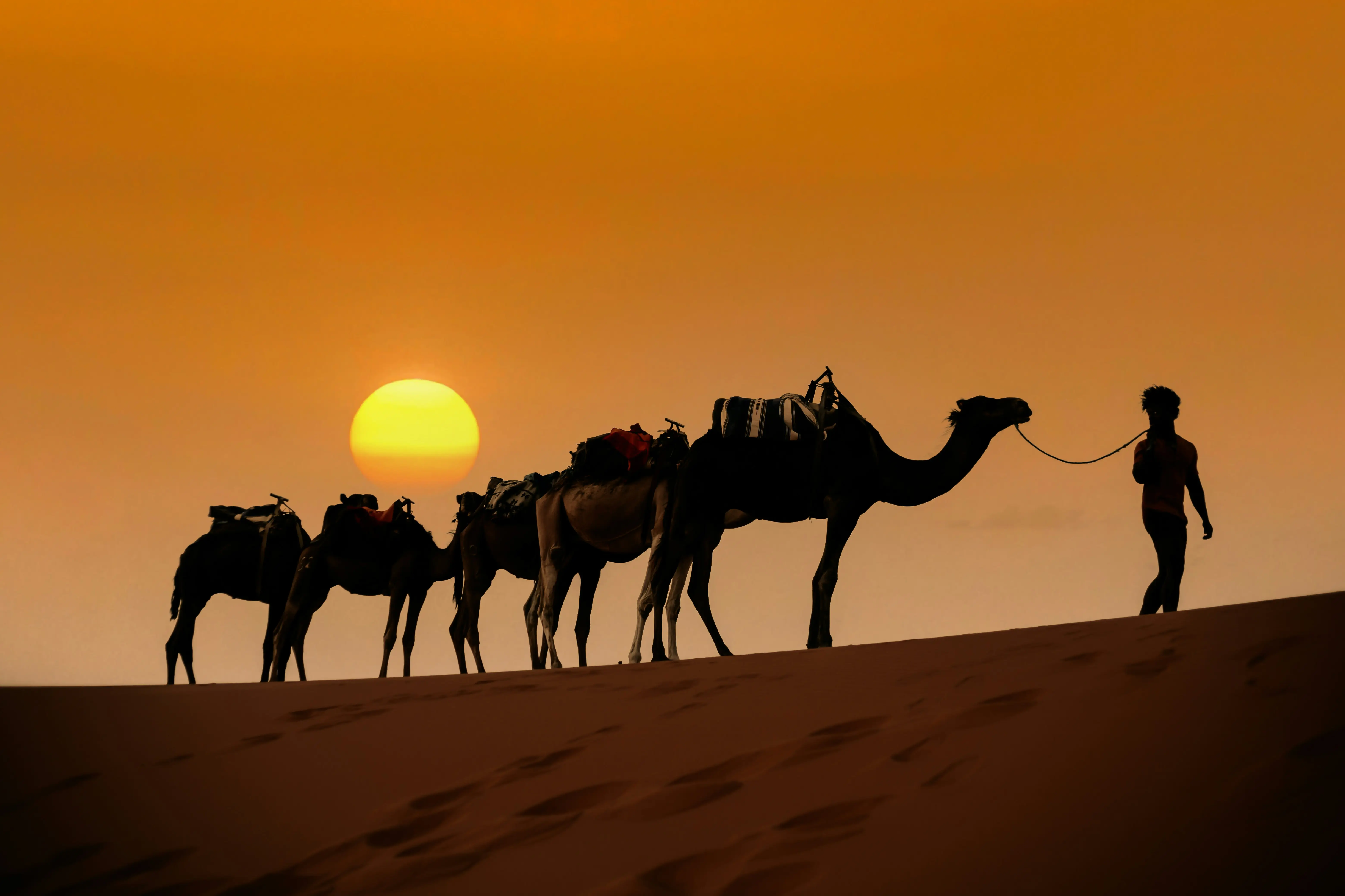 🐪 Day 4: Sahara Dreaming – Tinghir to Merzouga