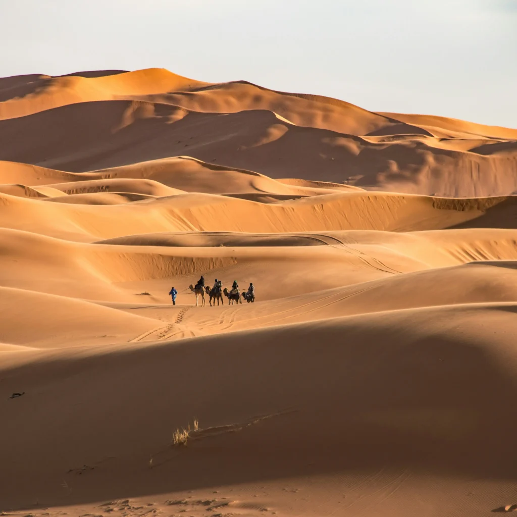 sahara welcome - Desert tours