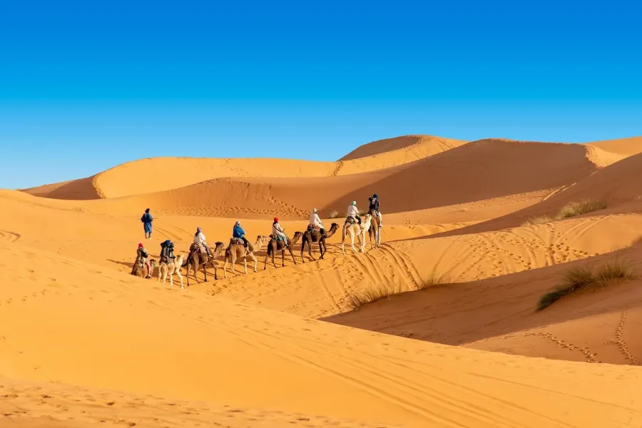 Camel trek during 3 day desert tour from Marrakech to Merzouga