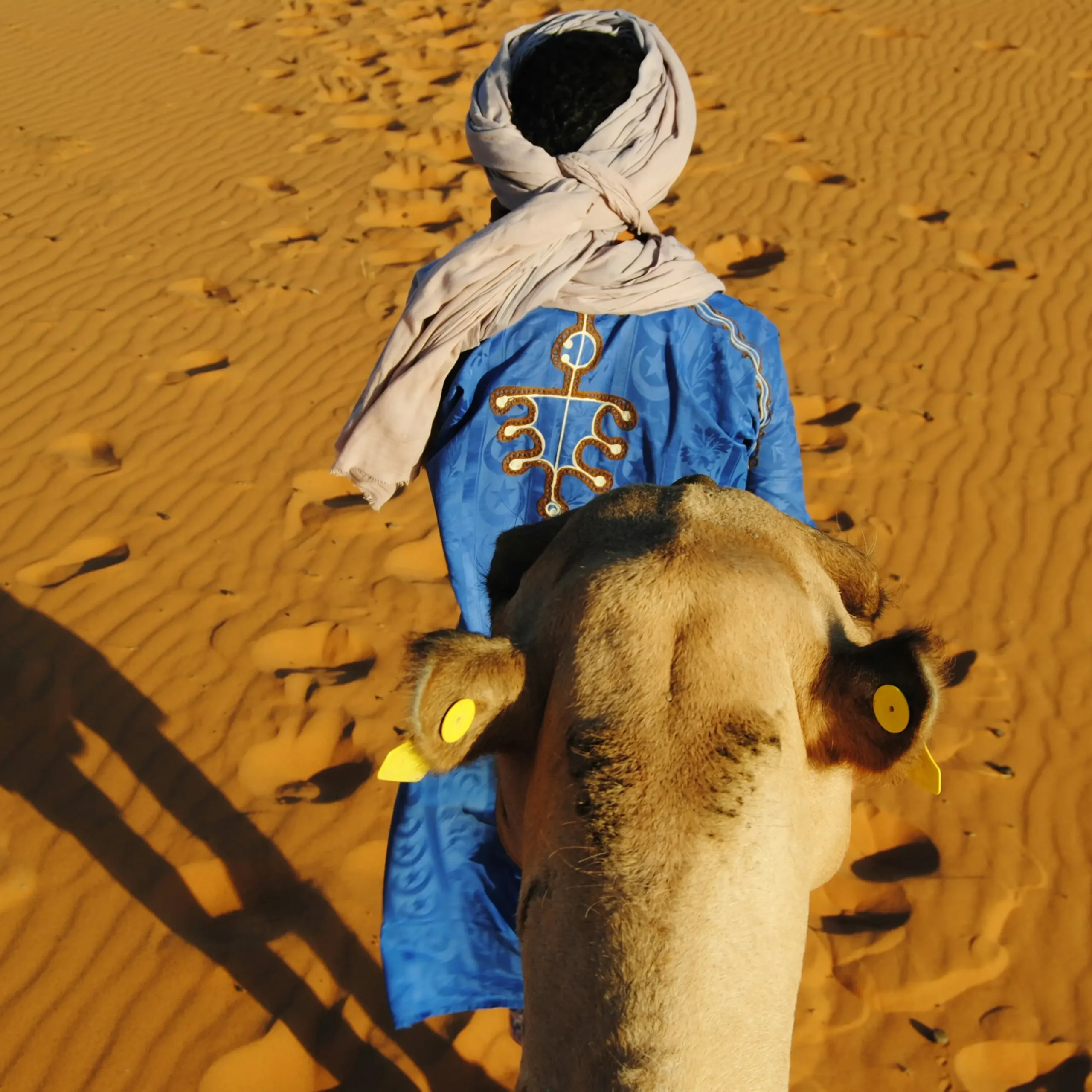 🐫 Day 2: Explore Merzouga – Camel Trek – Sahara Camp