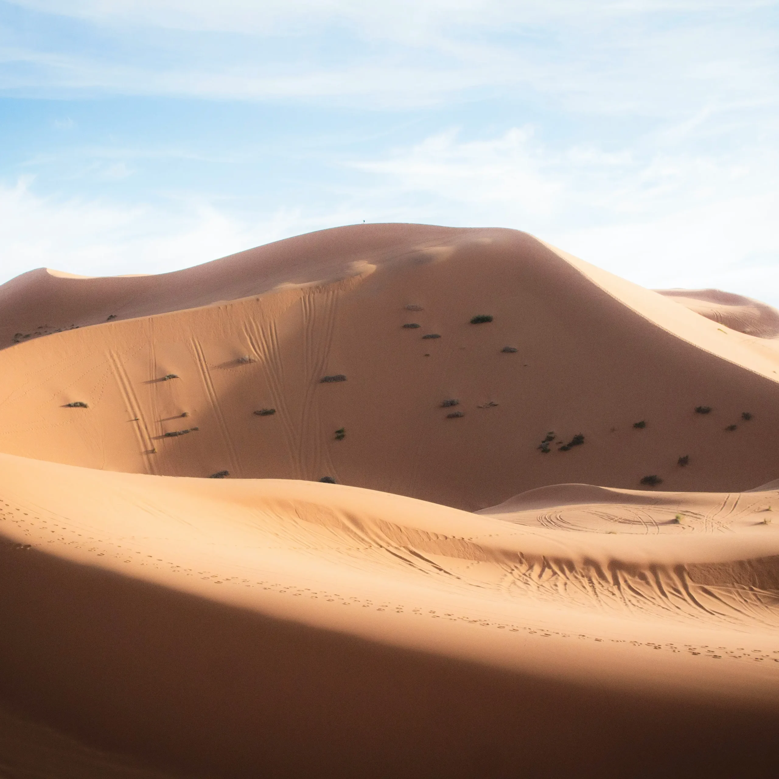 🌄 Day 3: Merzouga to Fes – Sunrise, Fossils & Palm Valleys
