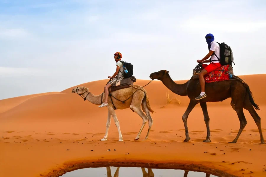 Camel caravan at sunset during Marrakech to Fes desert tour