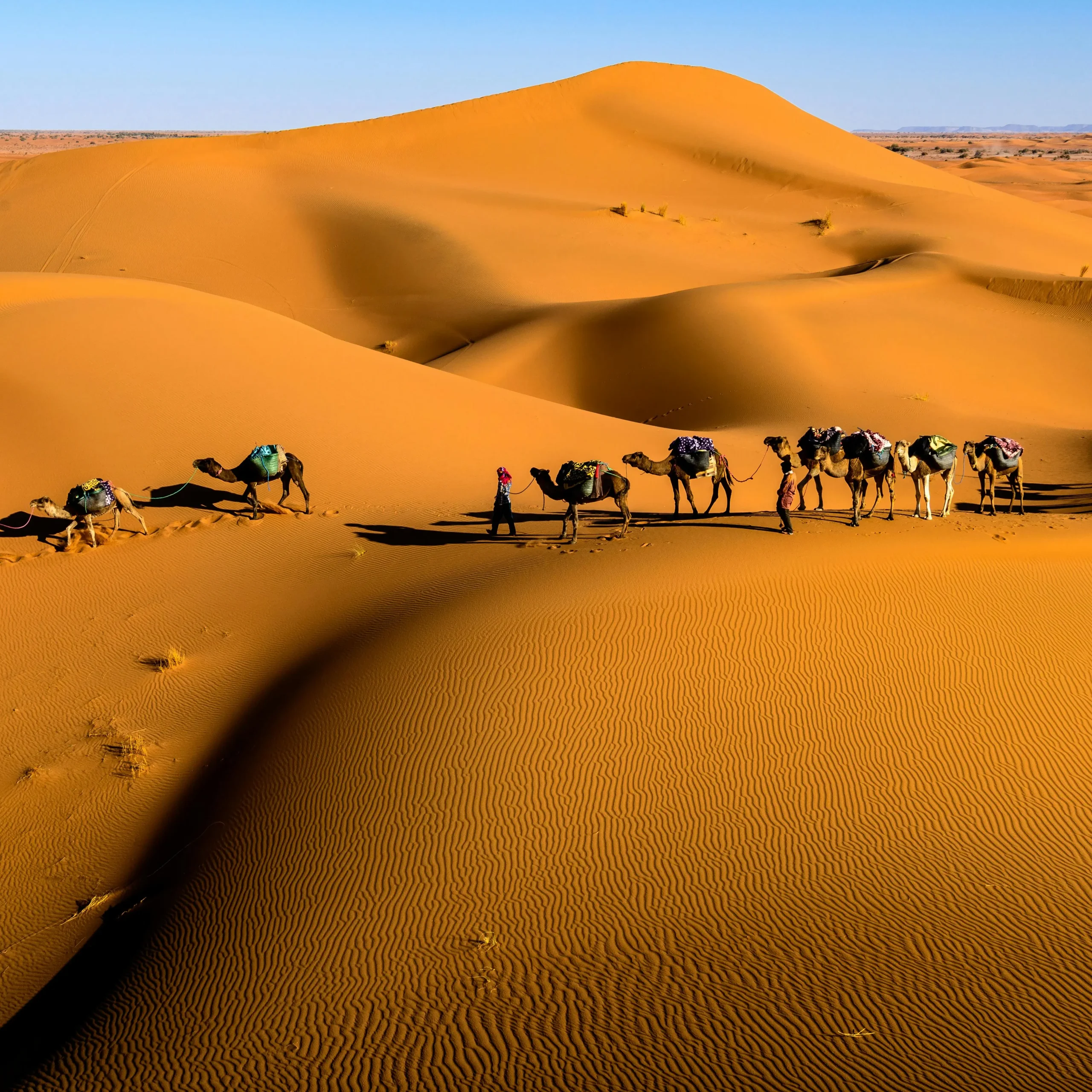🏞️ Day 2: Dades Valley ➝ Todra Gorges ➝ Merzouga ➝ Camel Trek ➝ Sahara Camp