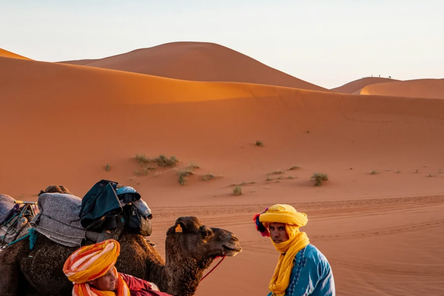Camels crossing Sahara dunes on a 3 days desert tour from Marrakech
