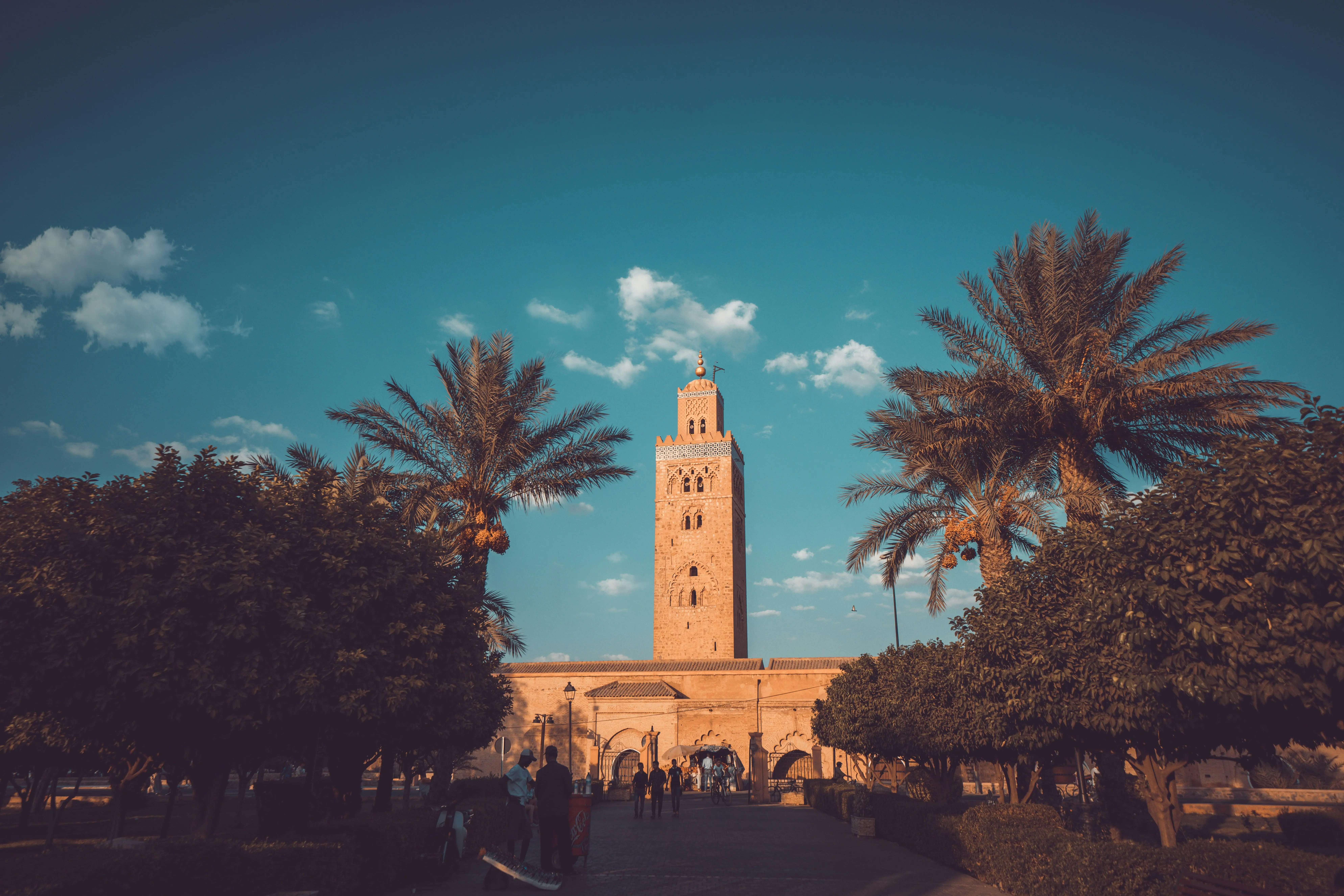 View of Marrakech medina and Atlas Mountains in the background