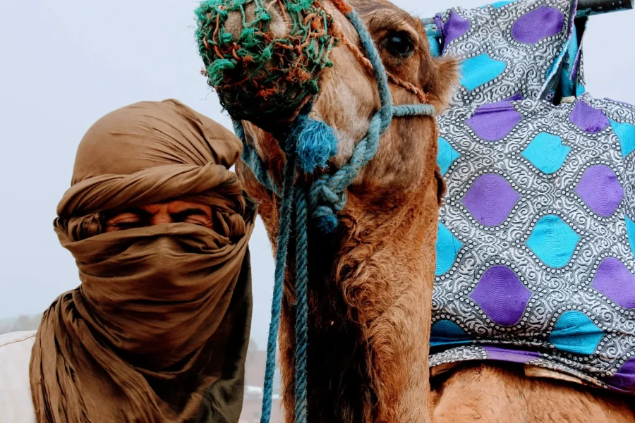 7 days tour from Casablanca camel ride in Sahara