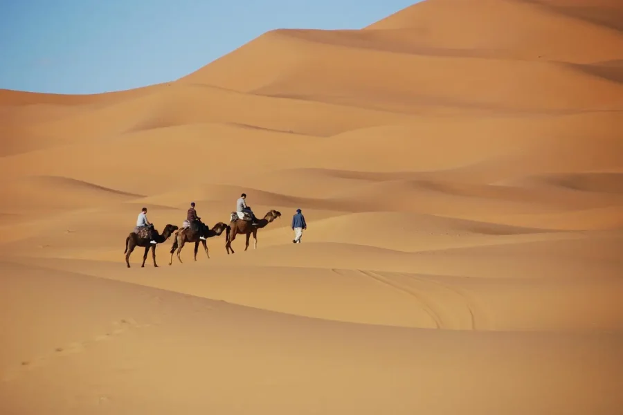 Camel caravan at sunset during 4 days tour from Marrakech to Fes