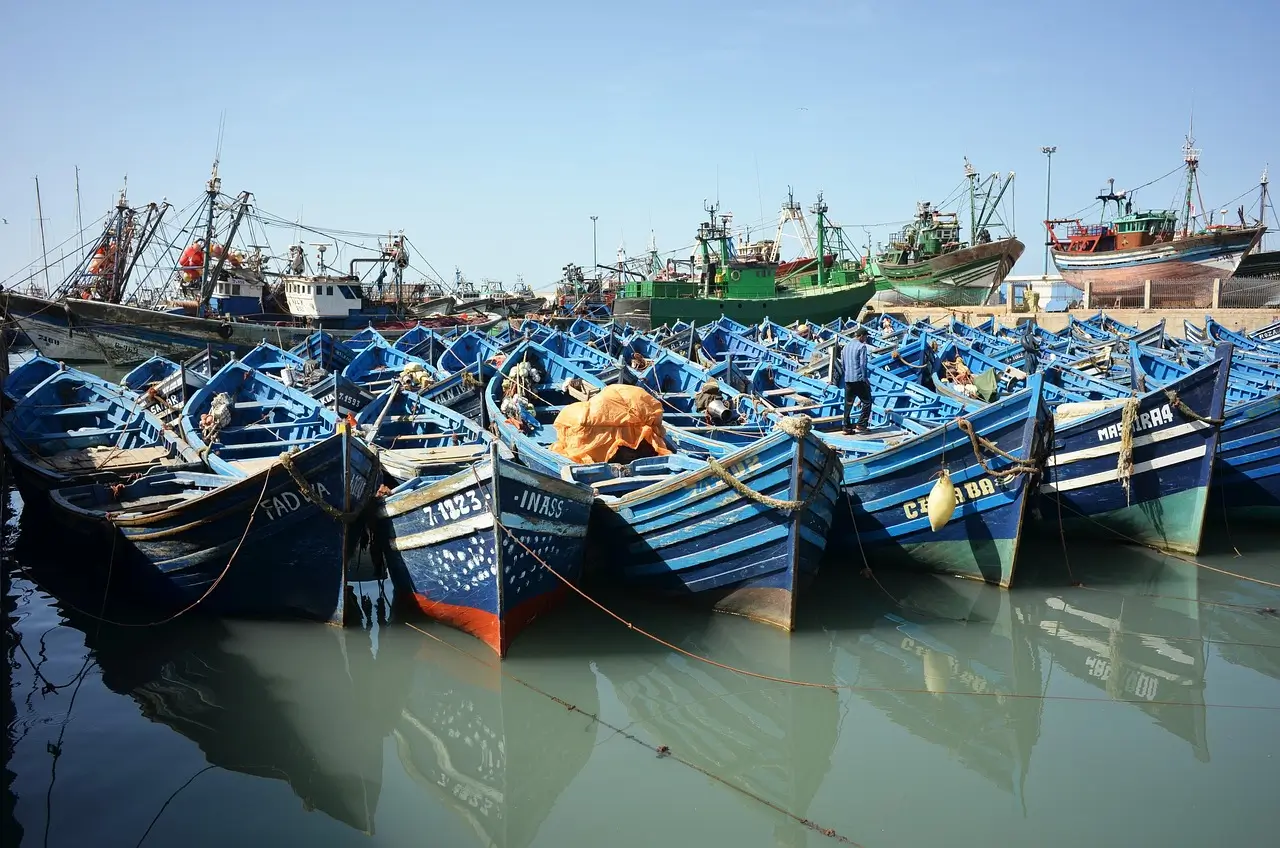 Day Itinerary: From Marrakech to Essaouira and Back