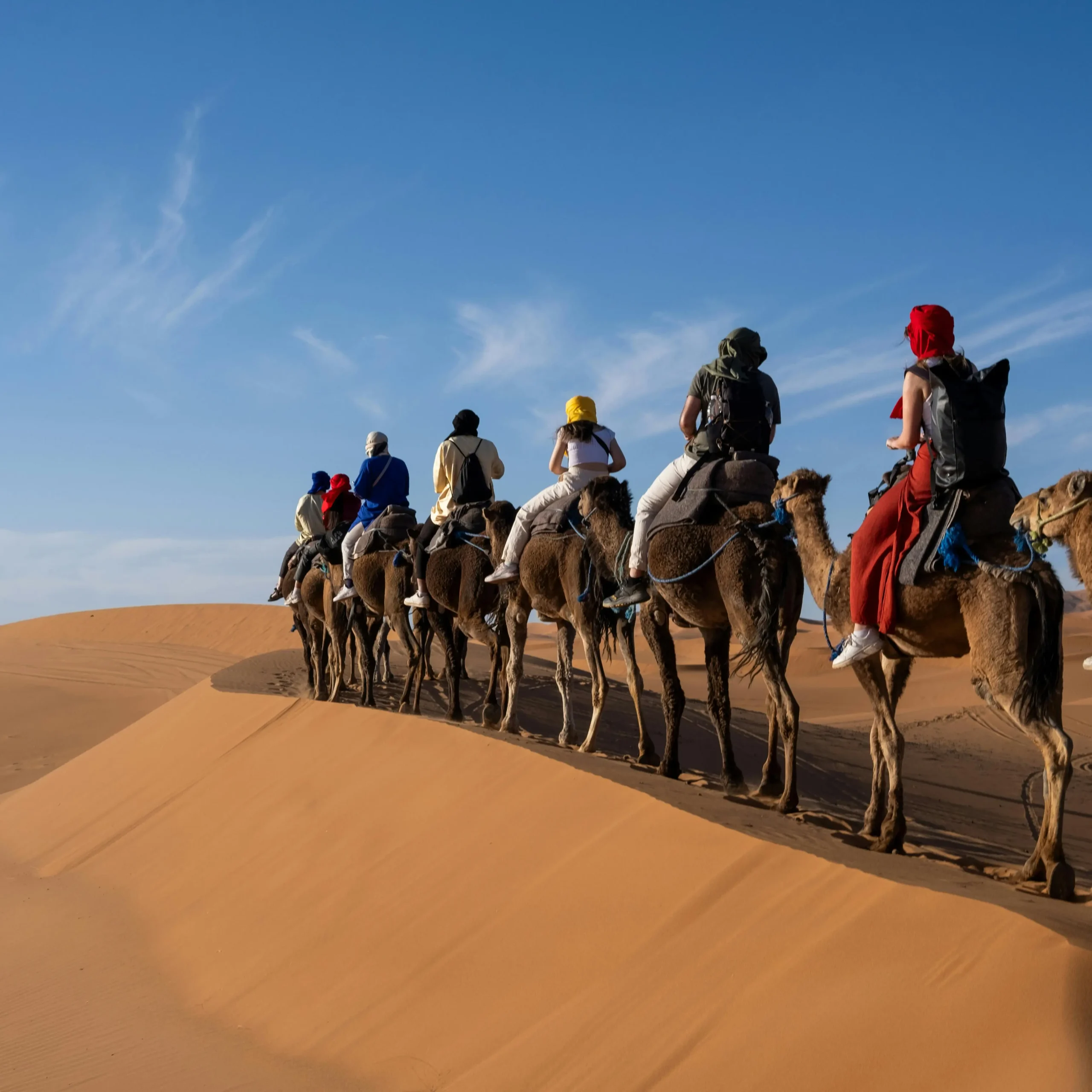 Day 2: Zagora → Tamgroute → Tagounite → Erg Chigaga (Wildlife + Nomads)