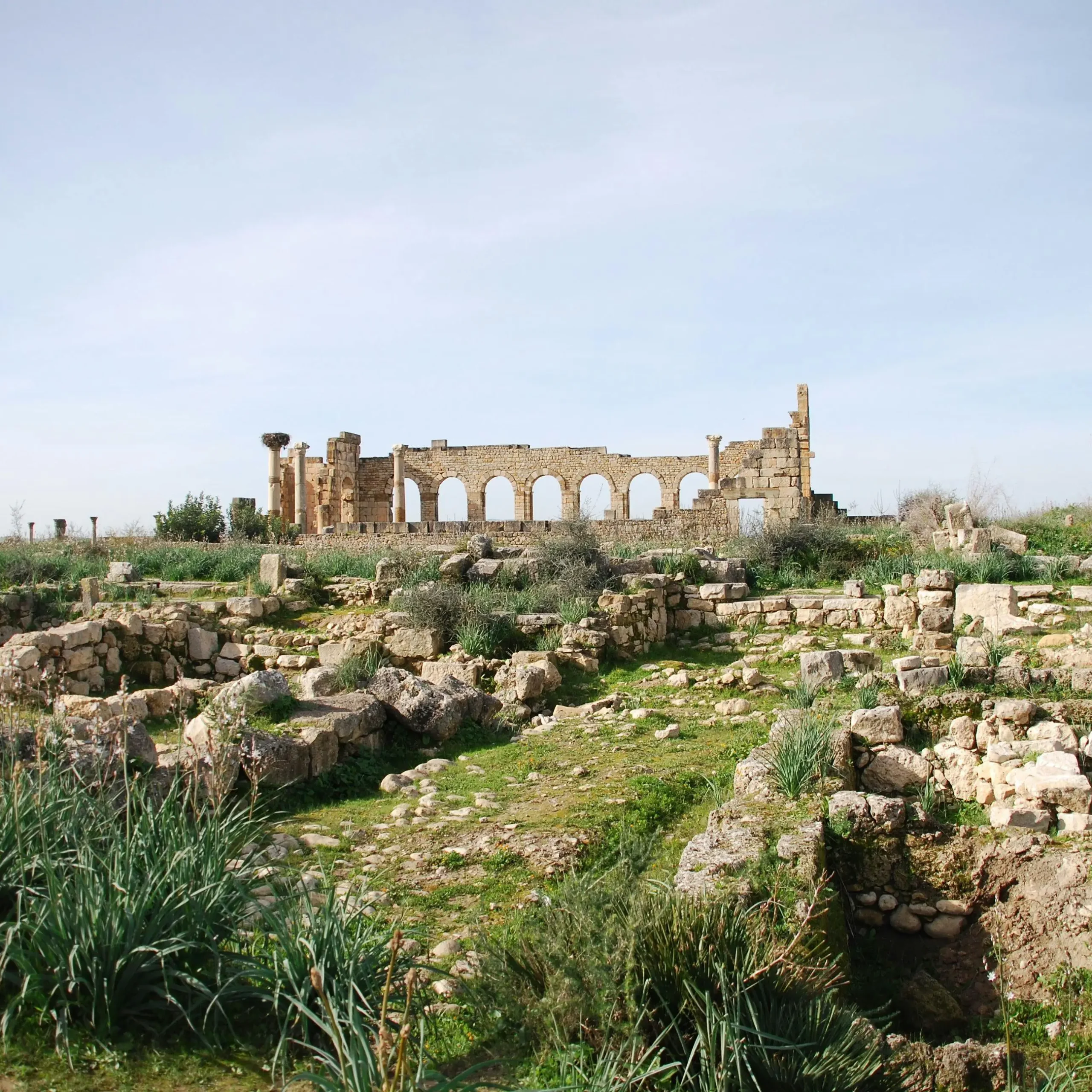 🏛️ Day 4: Chefchaouen → Volubilis → Fes – History & Heritage