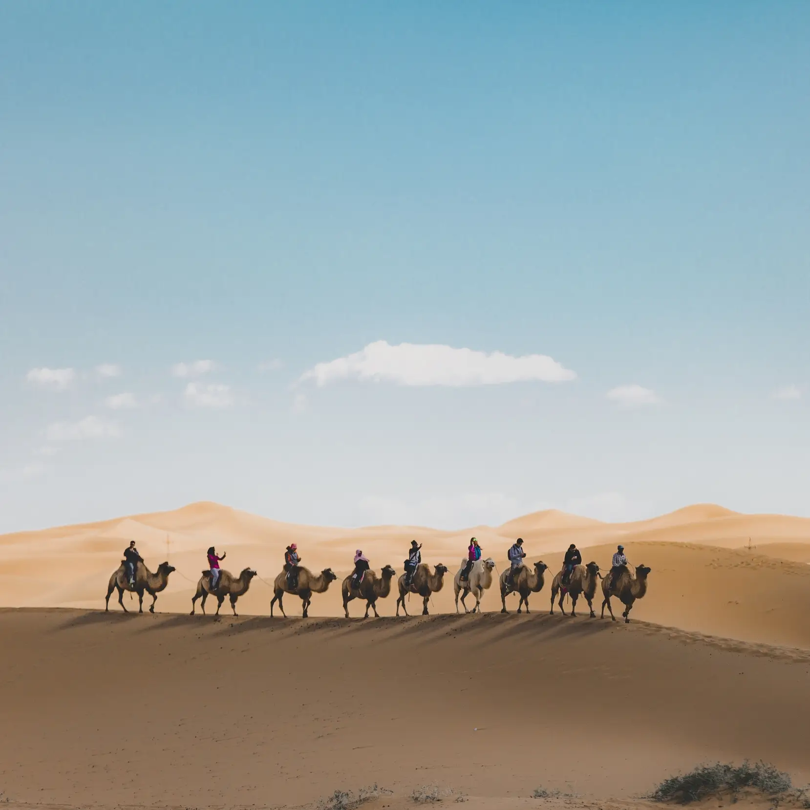 🐫 Day 5: From the Mountains to the Desert