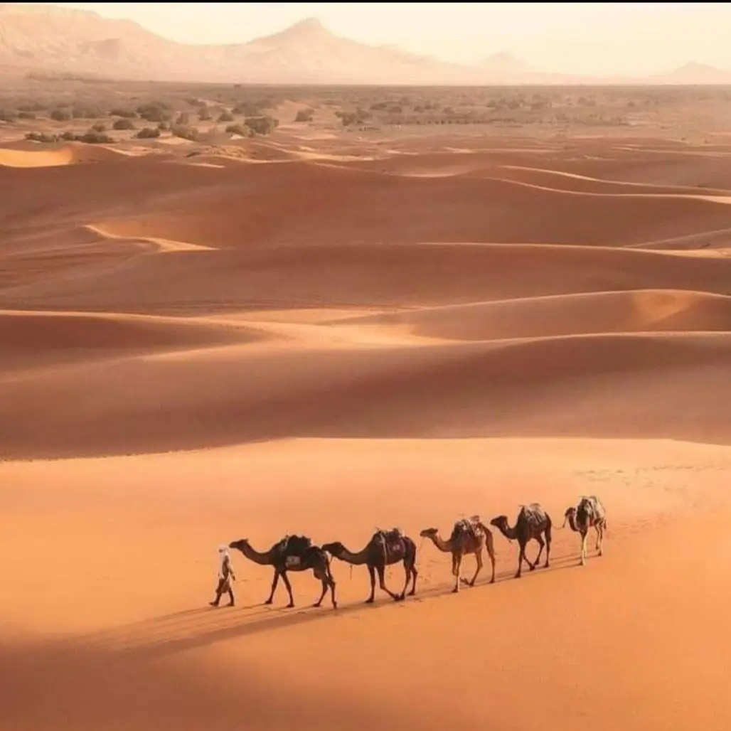 Day 2: Dades Valley – Todra Gorges – Erfoud – Merzouga Desert