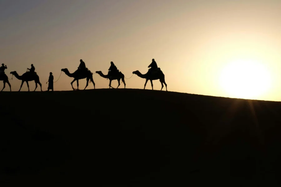 Sahara tour from Marrakech camel caravan at sunset