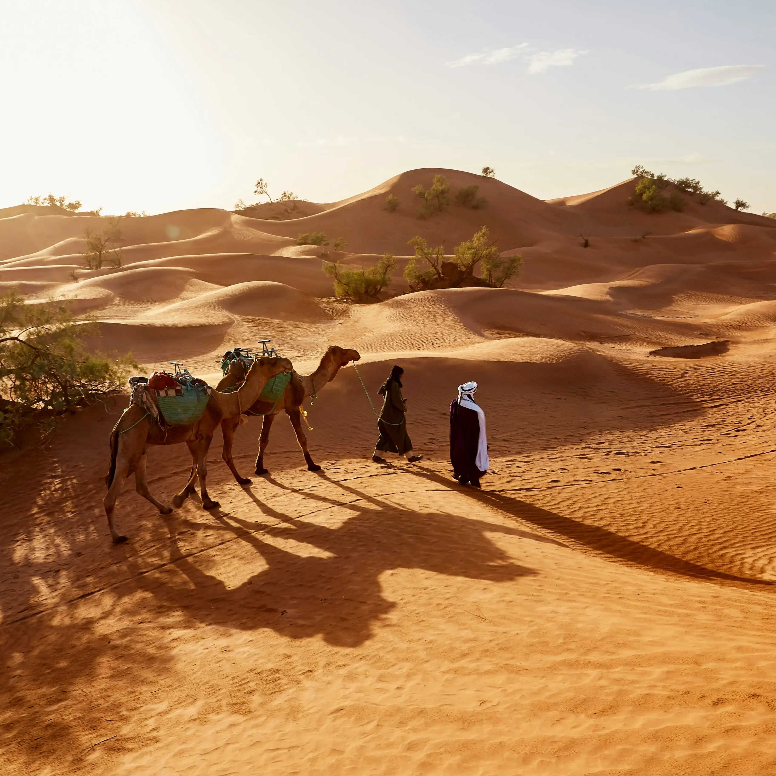 Day 2: Zagora – Tamegroute – Tagounite – Mhamid El Ghizlane – Erg Chigaga Luxury Camp