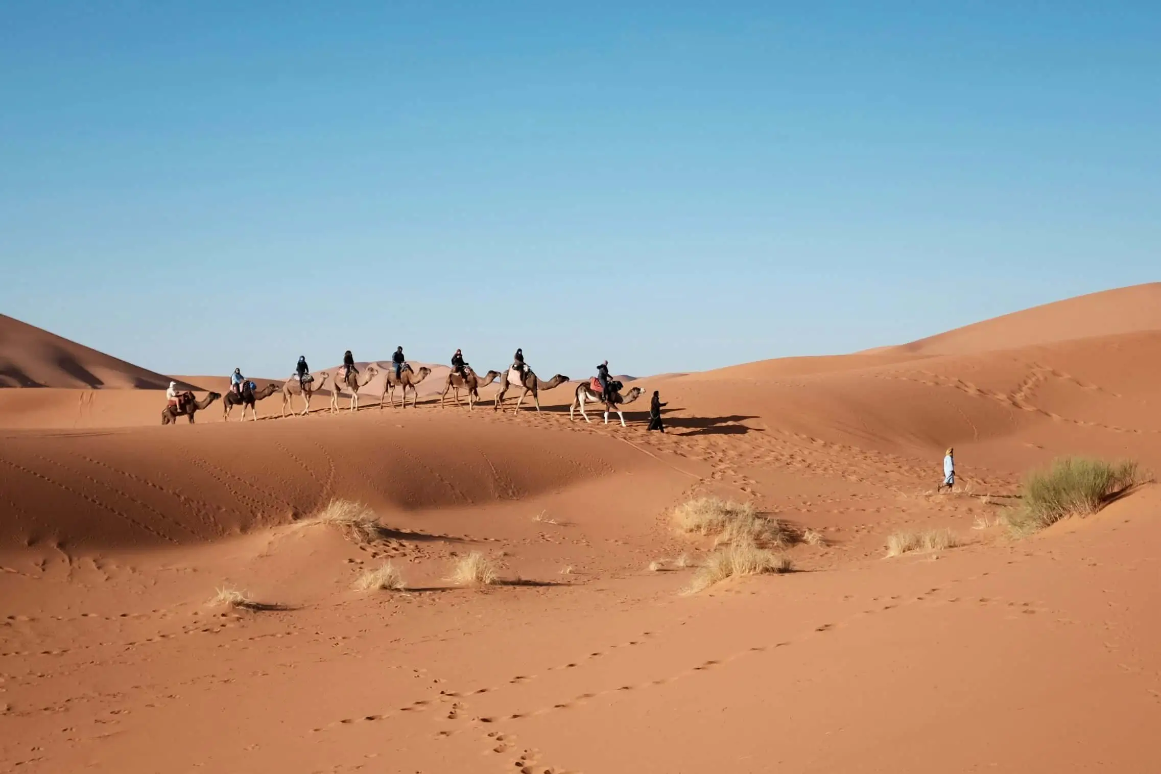 Day 6: Merzouga Desert – Nomads and Gnawa Culture