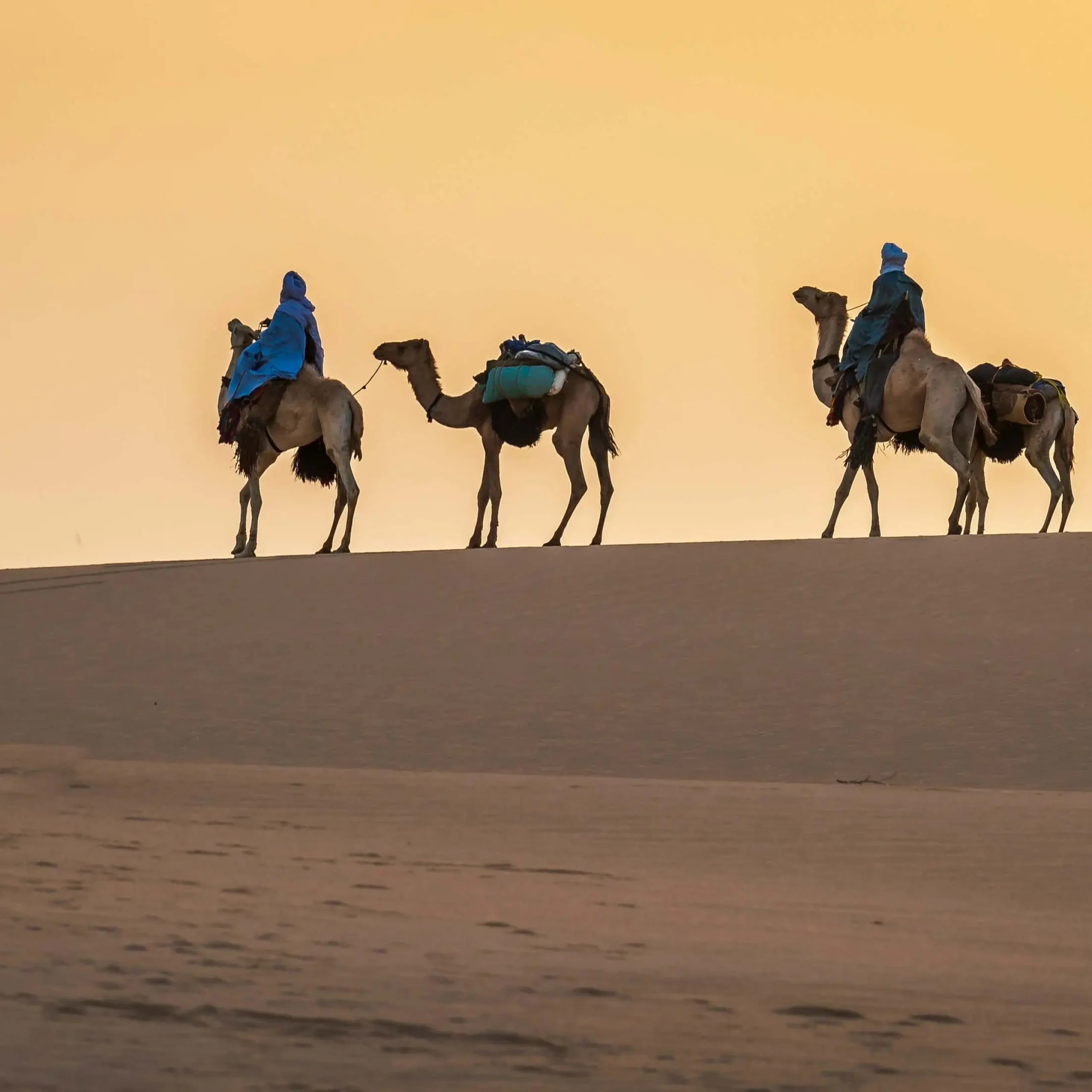 Day 3: Merzouga – Ziz Valley – Azrou – Ifrane – Fes