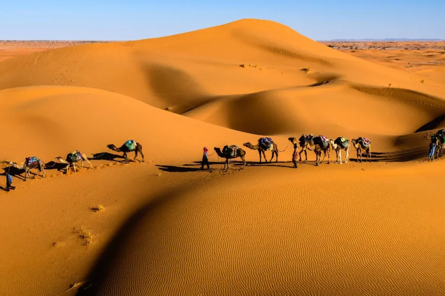3 day desert tour Marrakech to Fes camel ride