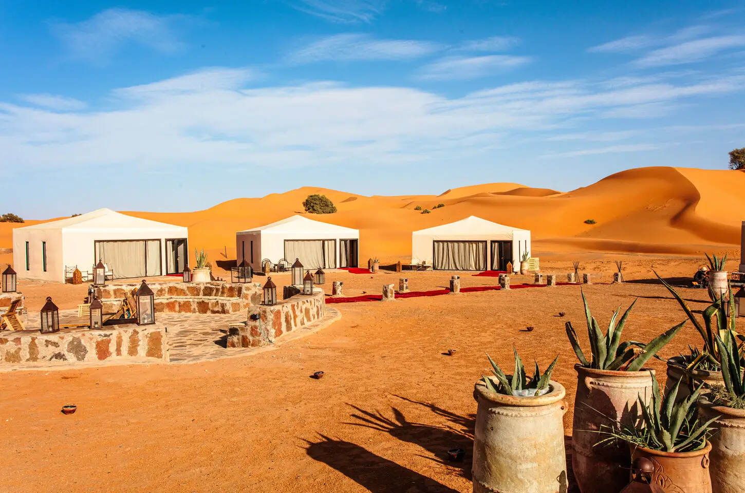 Day 1: Journey Through the Changing Landscapes of Morocco
